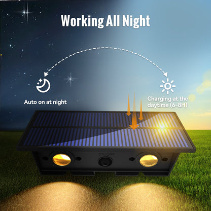 Solar Up & Down Fence Light With 4 Light Colors - FabStyl